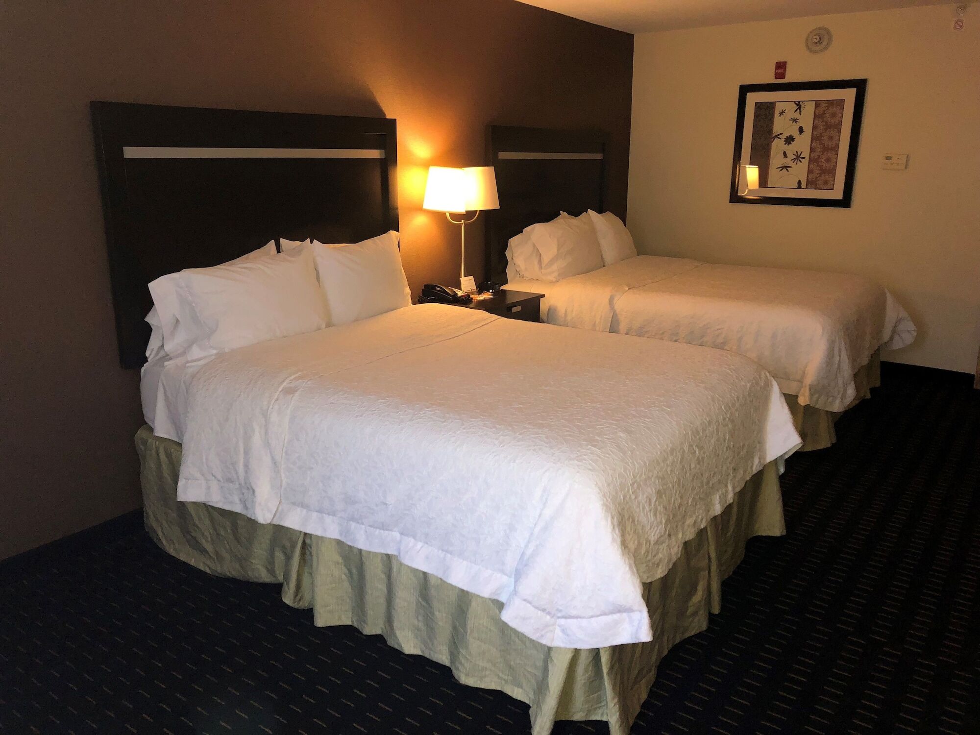 Hampton Inn Jericho - Westbury Екстериор снимка